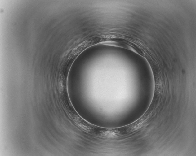 X0000060240566200510311525