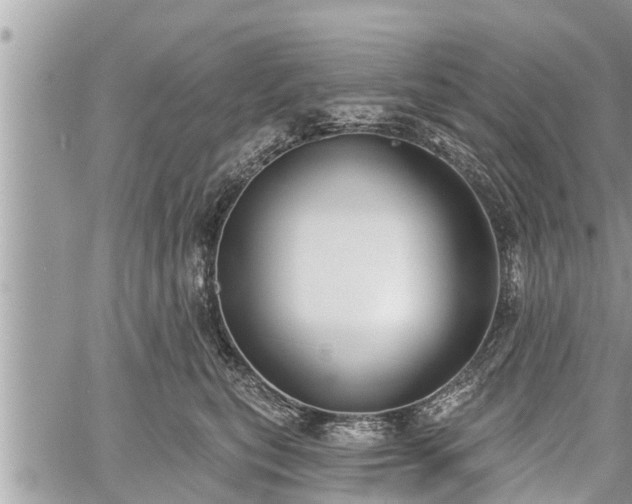 X0000060240567200510311525