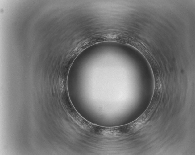 X0000060240568200510311525