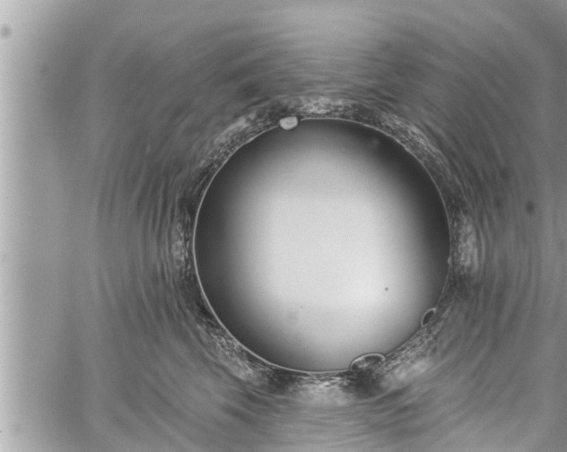 X0000060240569200510311525