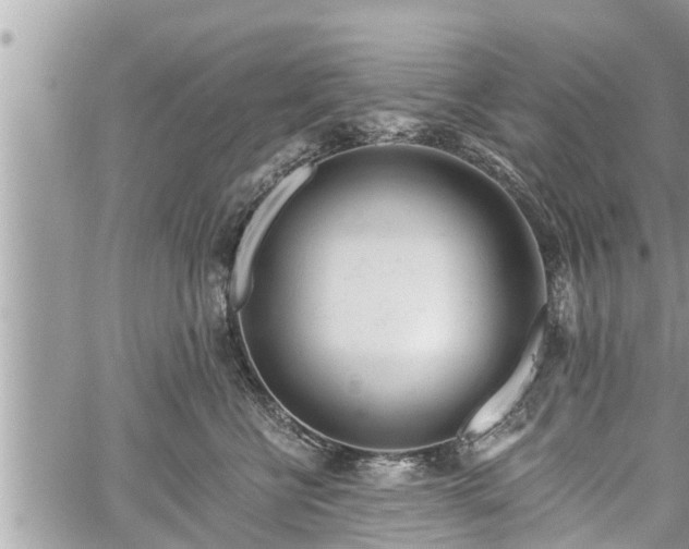 X0000060240570200510311525