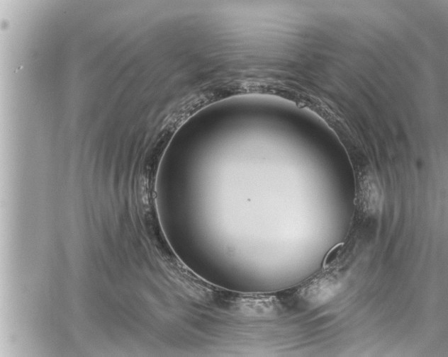 X0000060240571200510311525