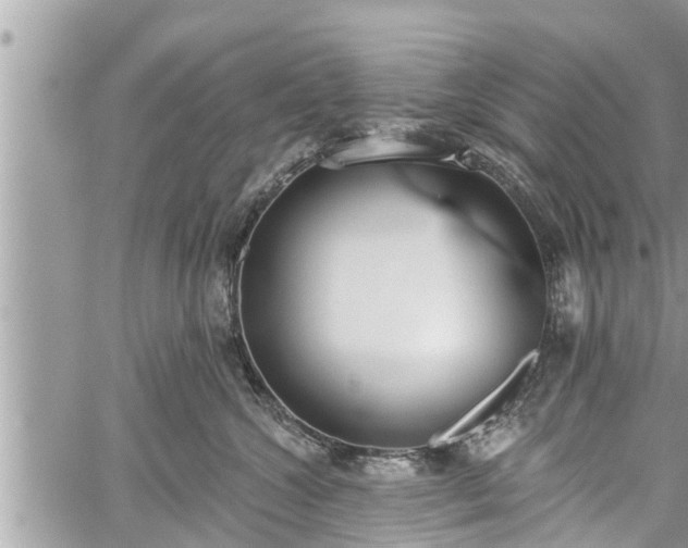 X0000060240572200510311525