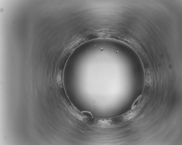 X0000060240573200510311525