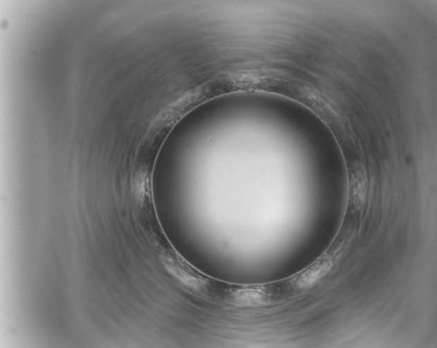 X0000060240574200510311525