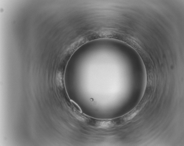 X0000060240575200510311525