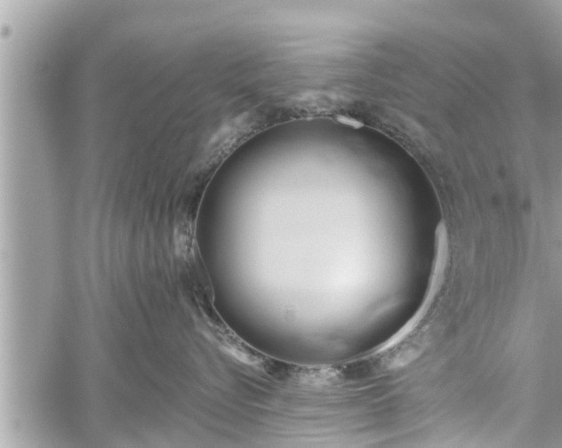 X0000060240576200510311525