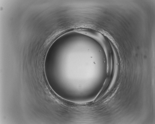 X0000060240577200510311524