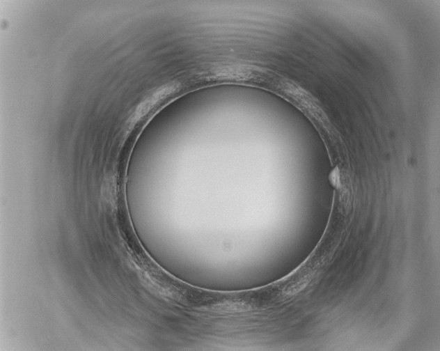 X0000060240578200510311524