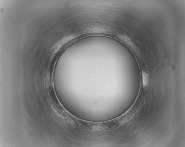 X0000060240579200510311524