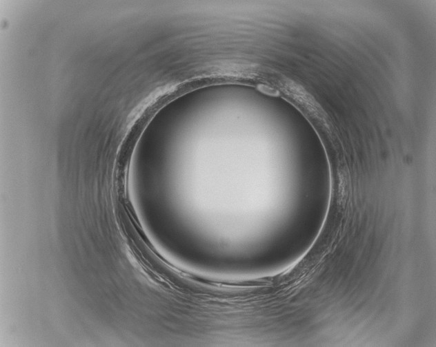 X0000060240580200510311524