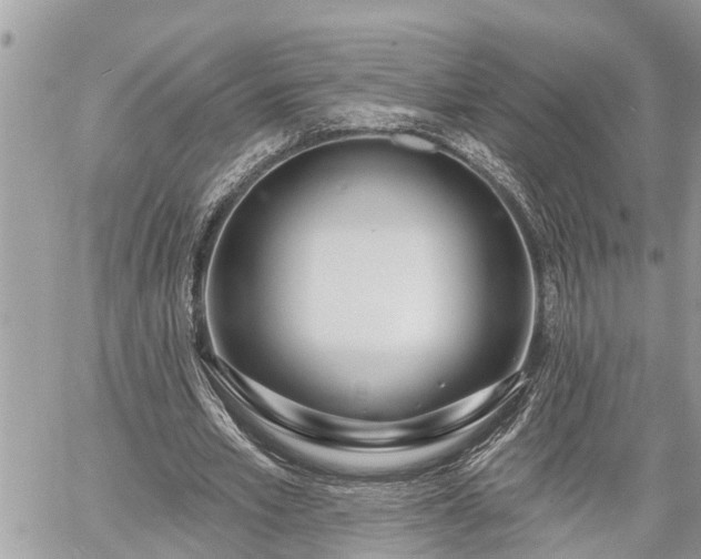 X0000060240581200510311524