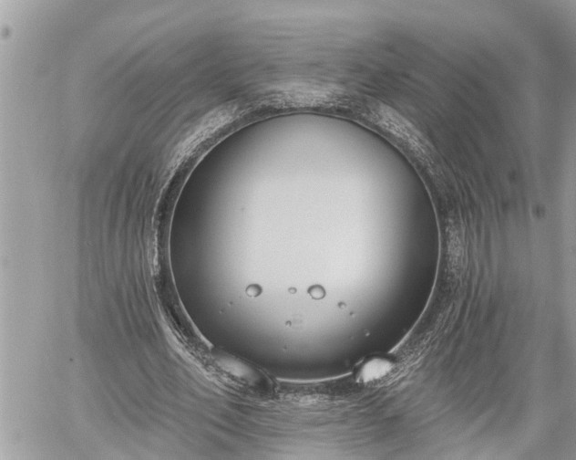 X0000060240582200510311524