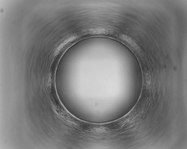 X0000060240583200510311524