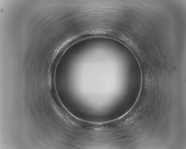 X0000060240584200510311524