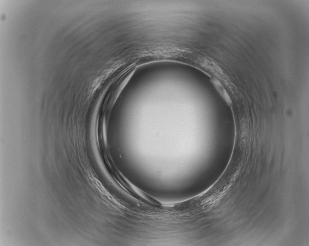 X0000060240585200510311524