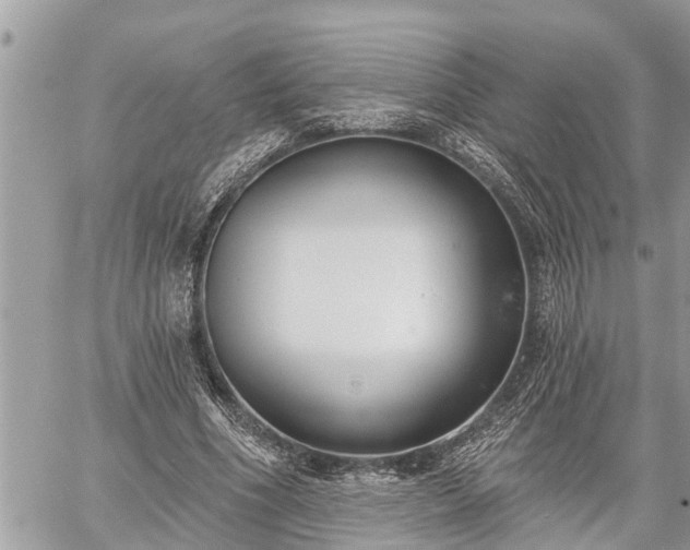 X0000060240586200510311524