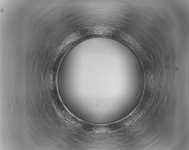 X0000060240587200510311524