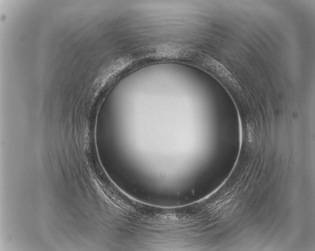 X0000060240588200510311524