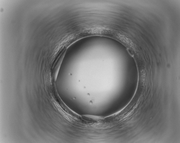 X0000060240589200510311524