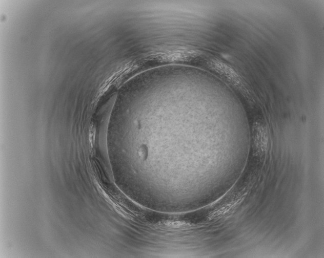 X0000060240590200510311524