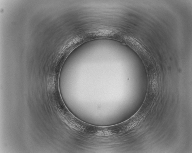 X0000060240591200510311524