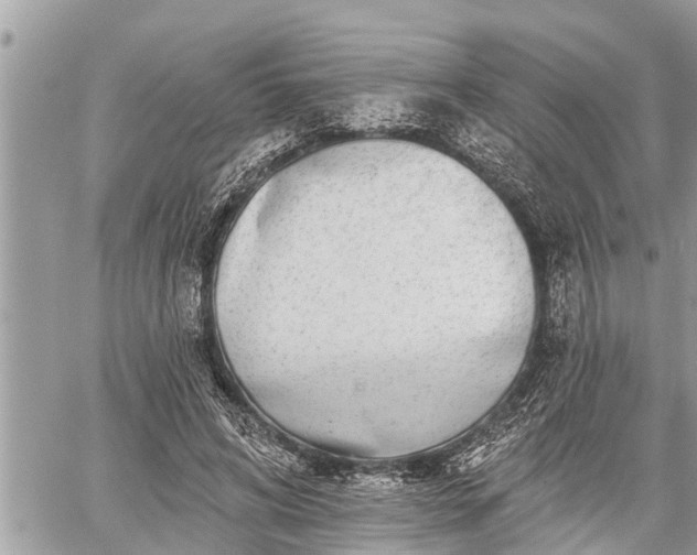 X0000060240592200510311524