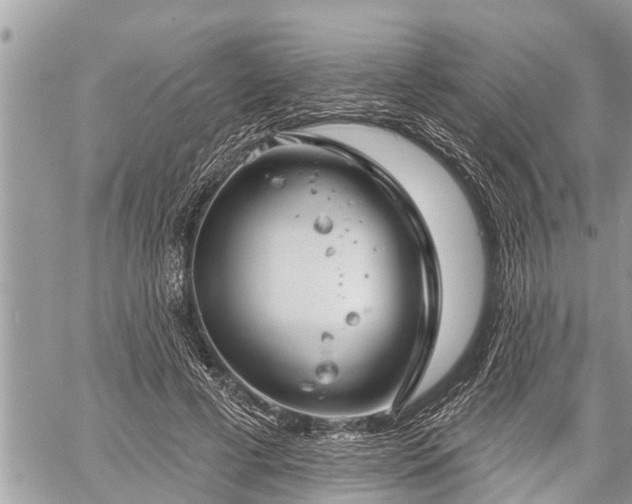 X0000060240593200510311524