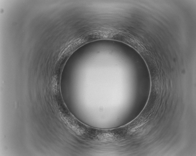 X0000060240594200510311524