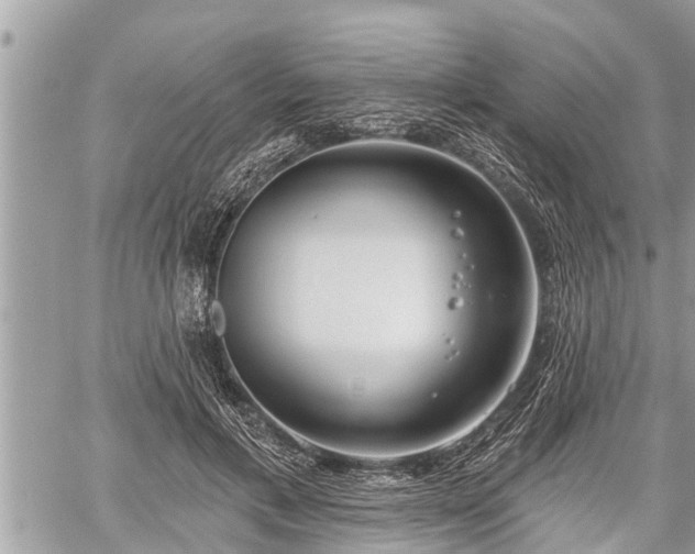 X0000060240597200510311524