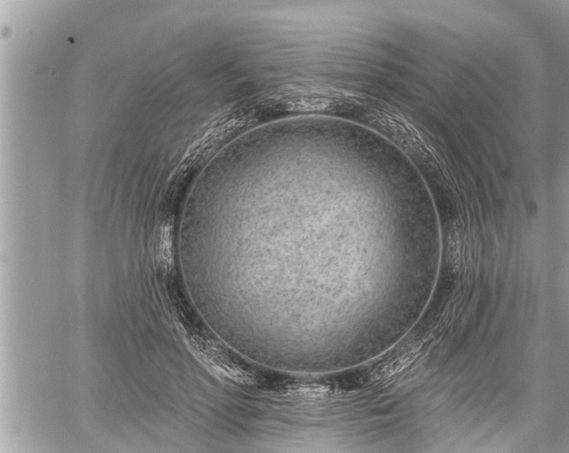 X0000060240598200510311524