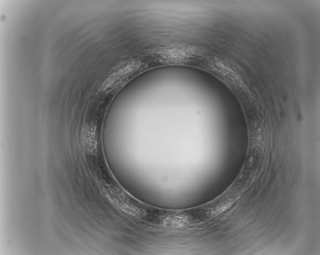 X0000060240599200510311524