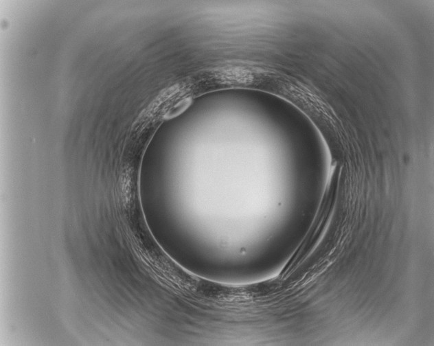 X0000060240600200510311524