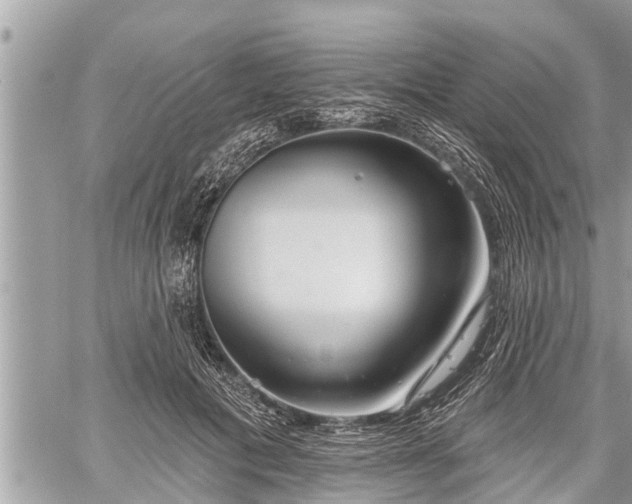 X0000060240601200510311524