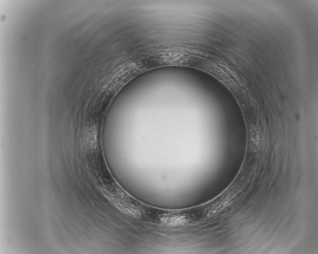 X0000060240602200510311524