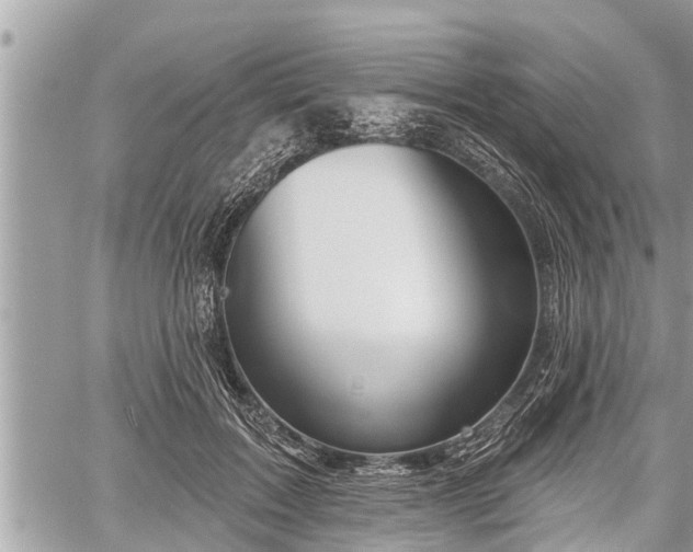 X0000060240603200510311524