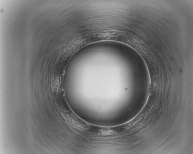 X0000060240605200510311524