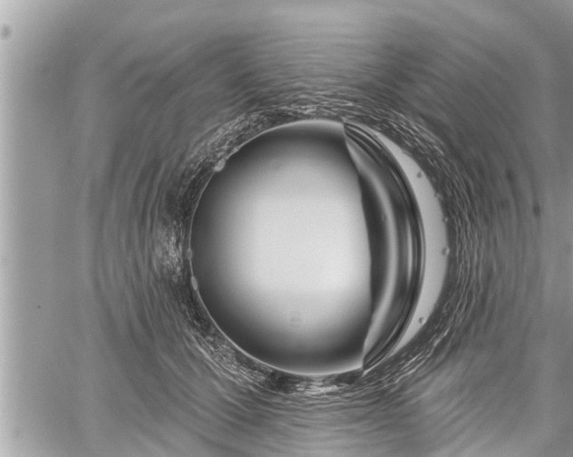 X0000060240607200510311524