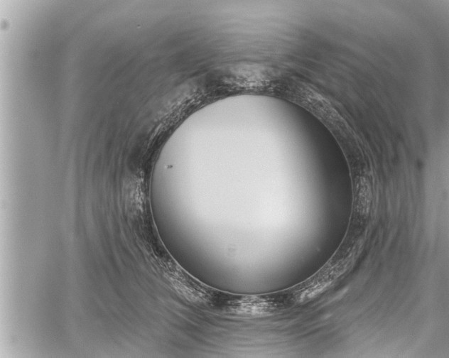 X0000060240612200510311524