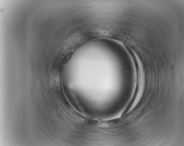 X0000060240613200510311524