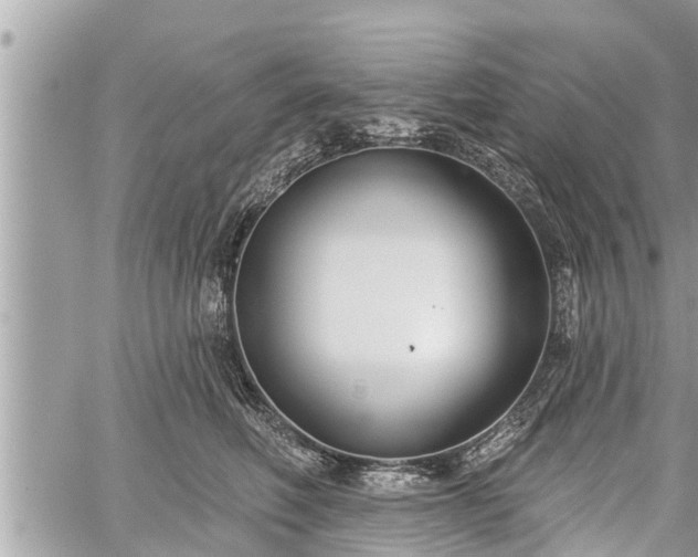 X0000060240614200510311524