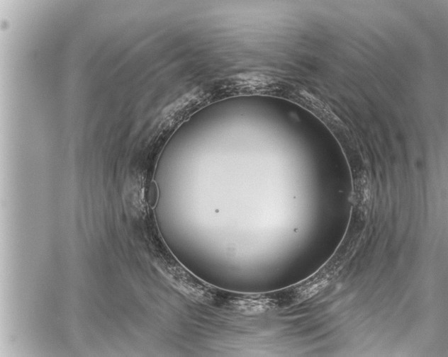 X0000060240615200510311524