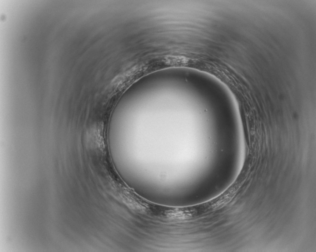 X0000060240616200510311524