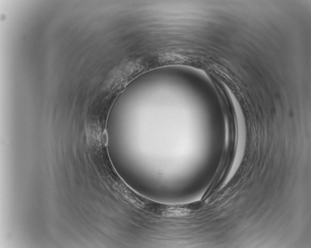 X0000060240617200510311524