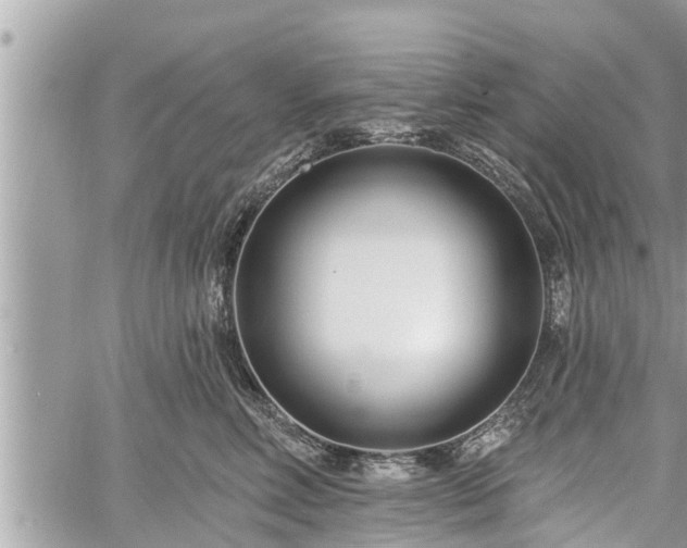 X0000060240618200510311524