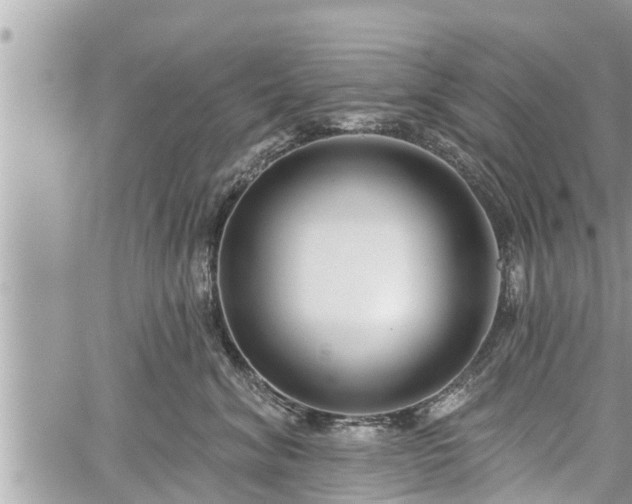 X0000060240620200510311524