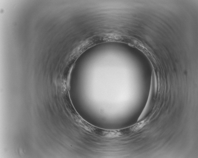 X0000060240621200510311524