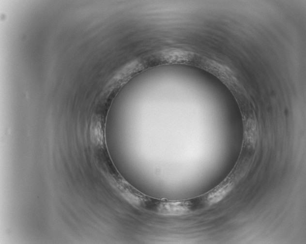 X0000060240622200510311524