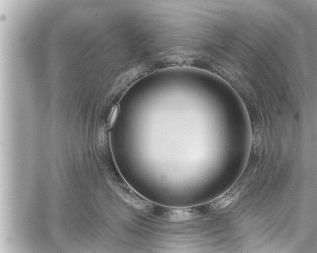 X0000060240623200510311523