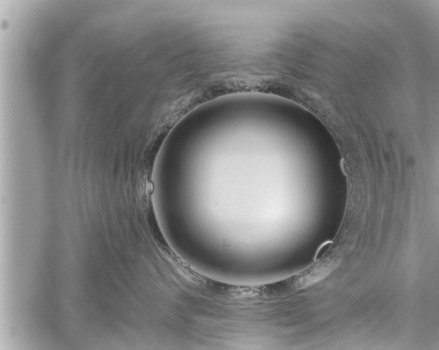 X0000060240624200510311523